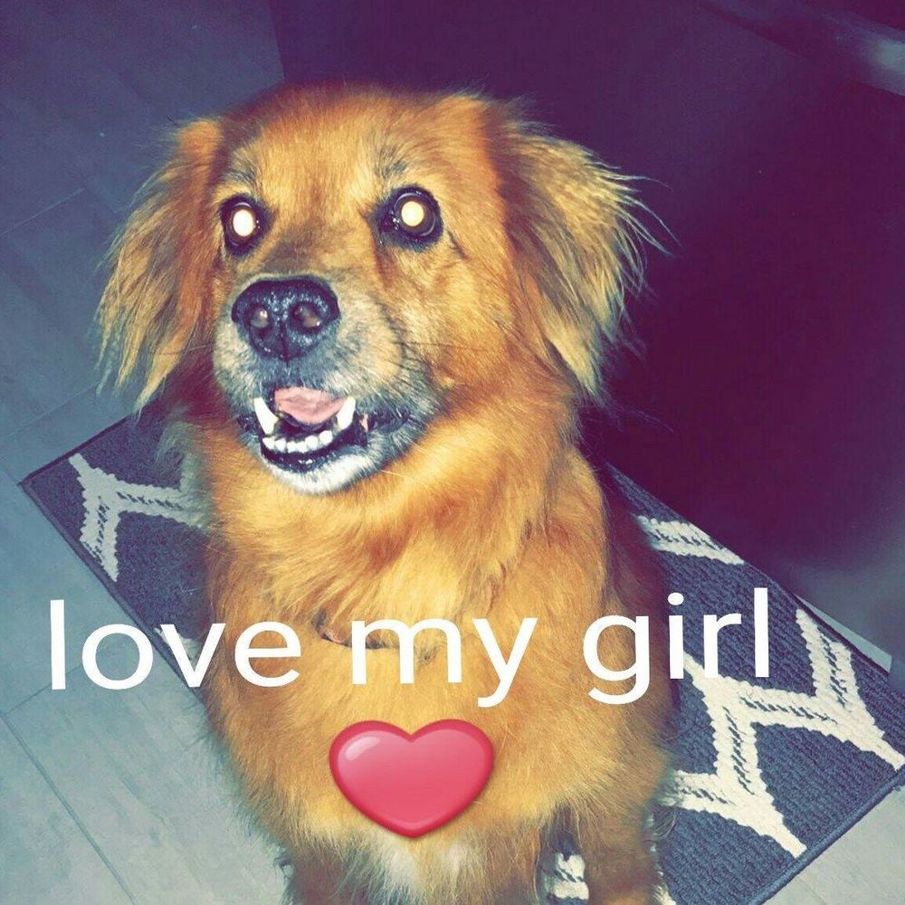 Meet your Posher, Laurie